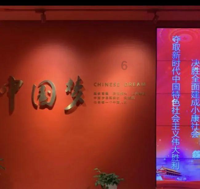 猫好几天不回家，是不是已经死了？游戏画面